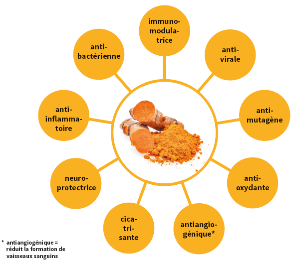La curcumine : Bienfaits, Description et effets indésirables