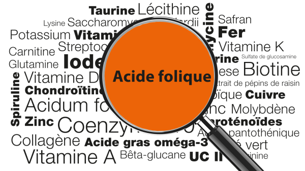 Les mots «acide folique» sont mis en évidence au centre d’une loupe