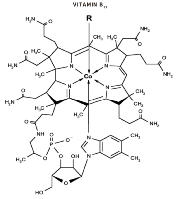 Chemische Struktur von Vitamin B12
