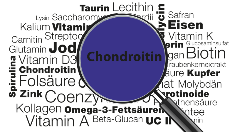 Lupe mit Wort Chondroitin im Fokus » Wissenswertes zu Funktionen, Anwendungsgebieten, Mangel uvm.