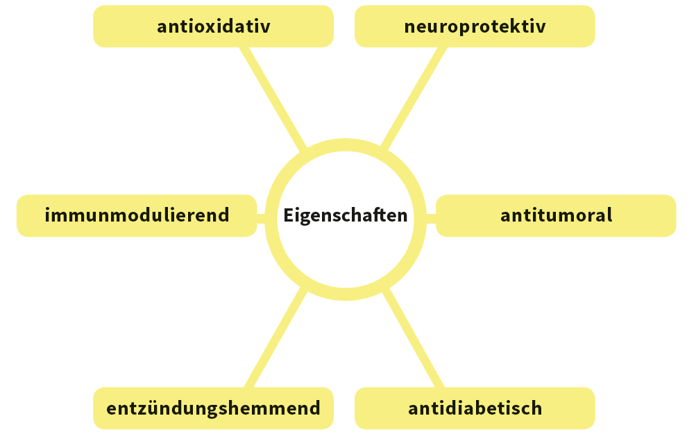 Auflistung der Einsatzgebiete von Ginseng
