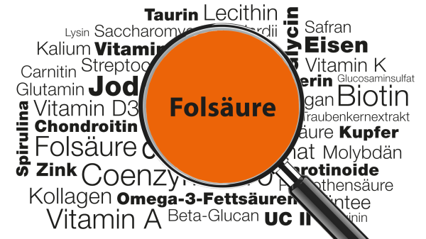 Lupe mit Wort Fols&auml;ure im Fokus &raquo; Studien zum Folatstatus bei Frauen in der Schweiz, Wissenswertes zu Lebensmittelquellen uvm.