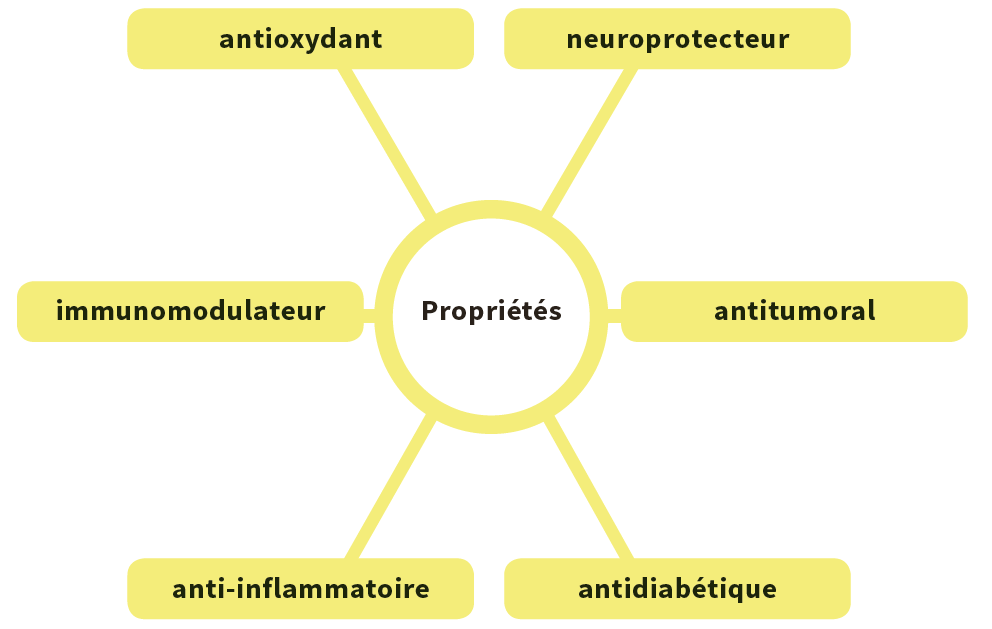 Liste des domaines d'utilisation du ginseng