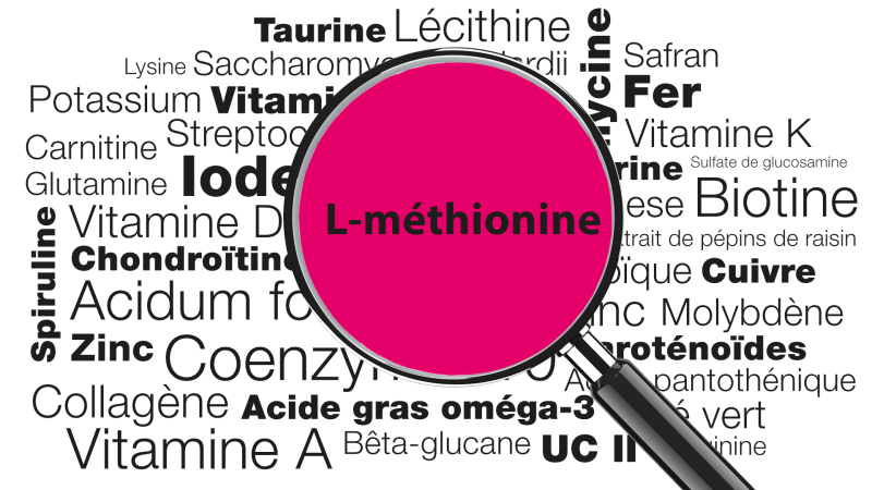 Loupe focalisée sur le mot L-méthionine