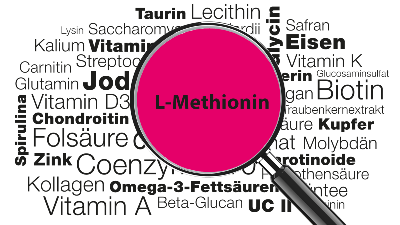 Lupe mit Wort L-Methionin im Fokus » Wissenswertes zu Funktionen, Anwendungsgebieten, Mangel, Lebensmittelquellen uvm.