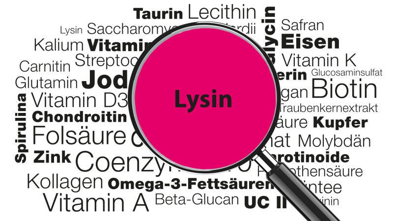 Lupe mit Wort Lysin im Fokus | Wissenswertes über Lysin: Funktionen, Einsatz, Lebensmittelquellen uvm. | Burgerstein Foundation