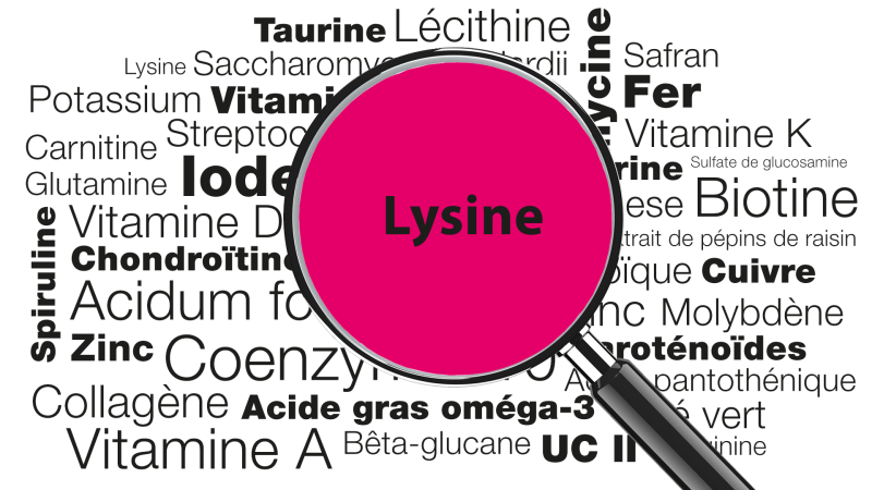 Loupe focalisée sur le mot Lysine