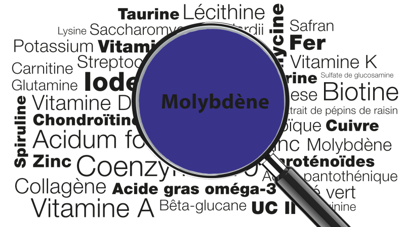 Loupe focalisée sur le mot Molybdène