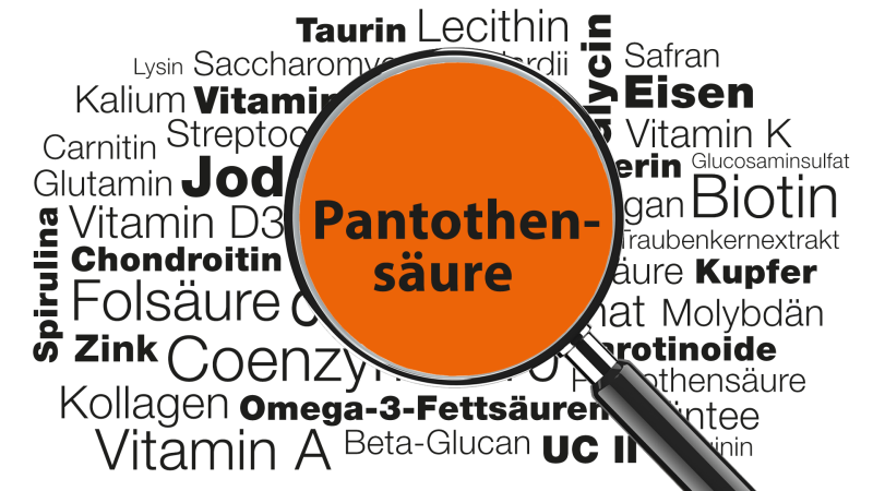 Lupe mit Wort Pantothensäure im Fokus » Wissenswertes zu Funktionen, Anwendungsgebieten, Mangel, Lebensmittelquellen uvm.