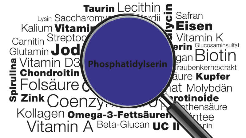 Lupe mit Wort Phospatidylserin im Fokus » Wissenswertes zu Funktionen, Anwendungsgebieten, Mangel, Lebensmittelquellen uvm.