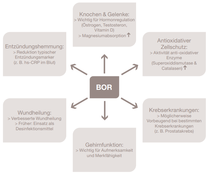 Grafische Darstellung der Anwendungsgebiete von Bor