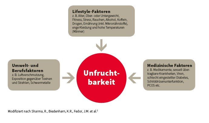 Grafik mit Einflussfaktoren, welche zu Unfruchtbarkeit führen können.