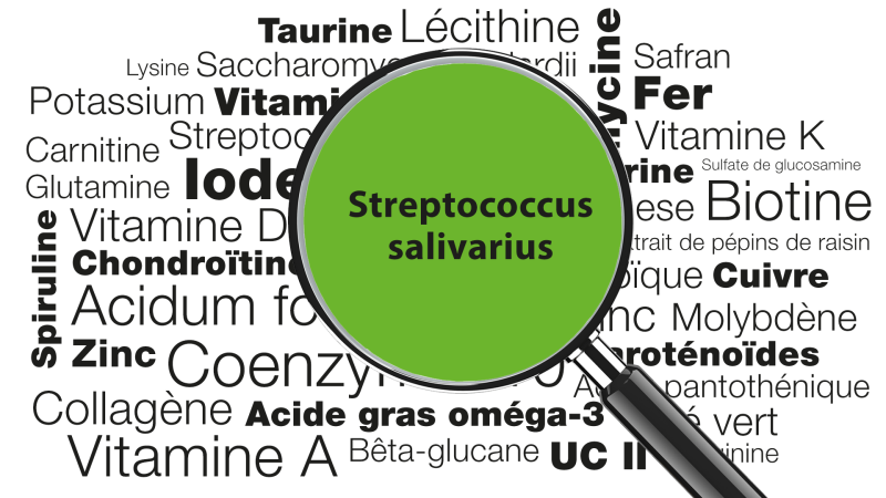 Loupe focalisée sur le mot Streptococcus salivarius