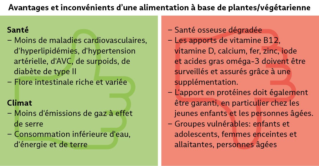 Vor- und Nachteile einer pflanzenbasierten bzw. vegetarischen Ernährung
