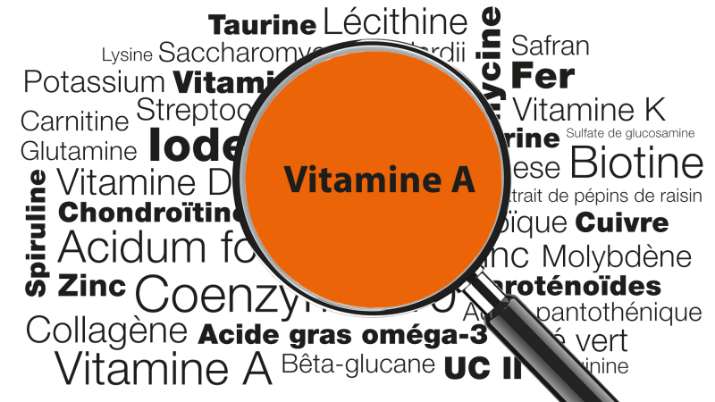 Loupe focalisée sur les mots Vitamine A
